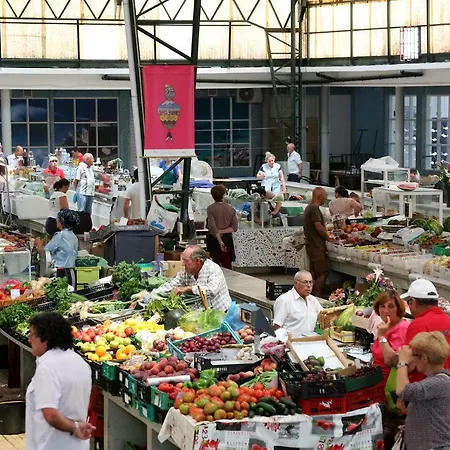 Big Wave Lejlighed *