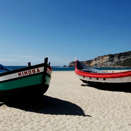 Big Wave Lejlighed *